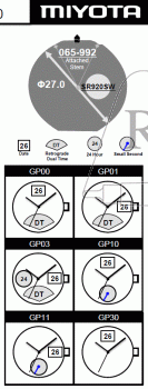 Citizen GP00